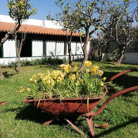 Casa Rural Limon Y Sol サウサル エクステリア 写真