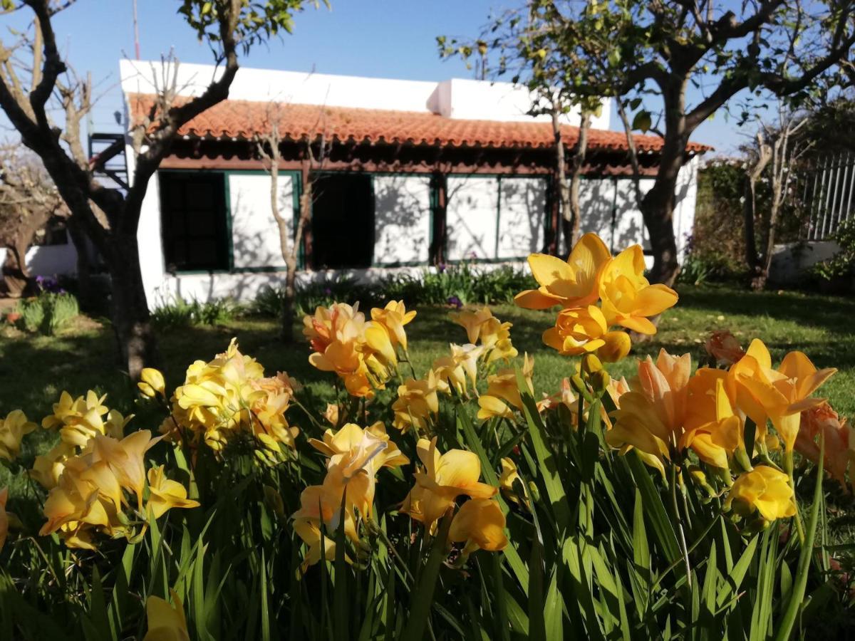 Casa Rural Limon Y Sol サウサル エクステリア 写真