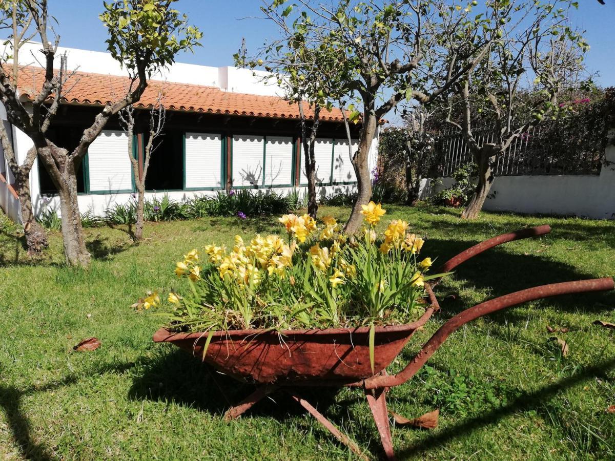 Casa Rural Limon Y Sol サウサル エクステリア 写真