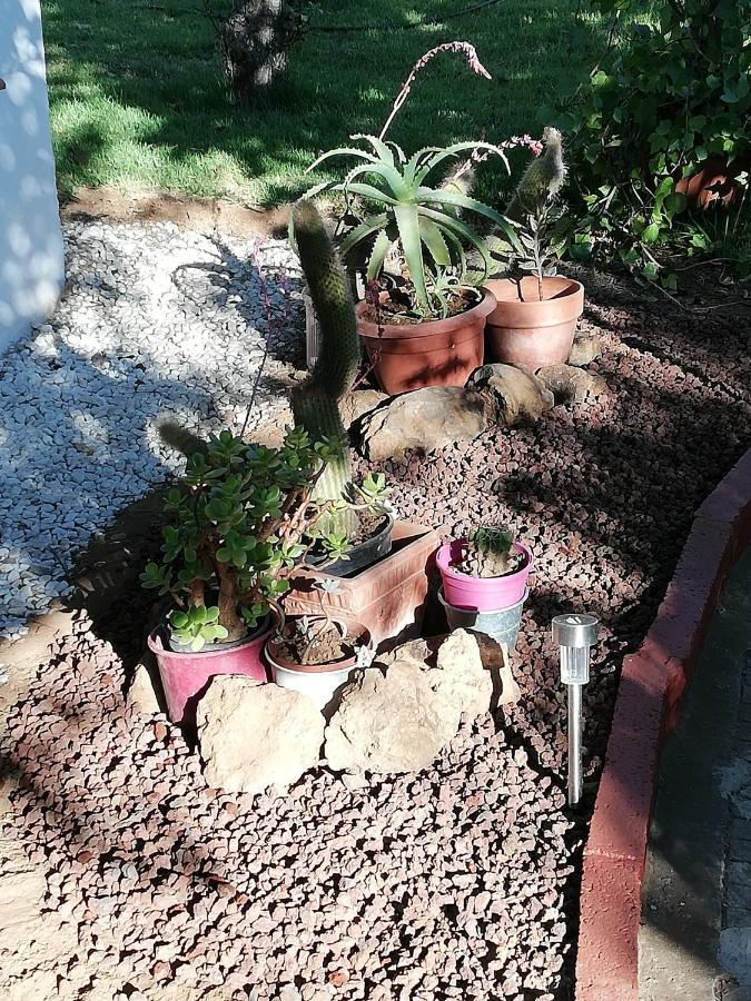 Casa Rural Limon Y Sol サウサル エクステリア 写真