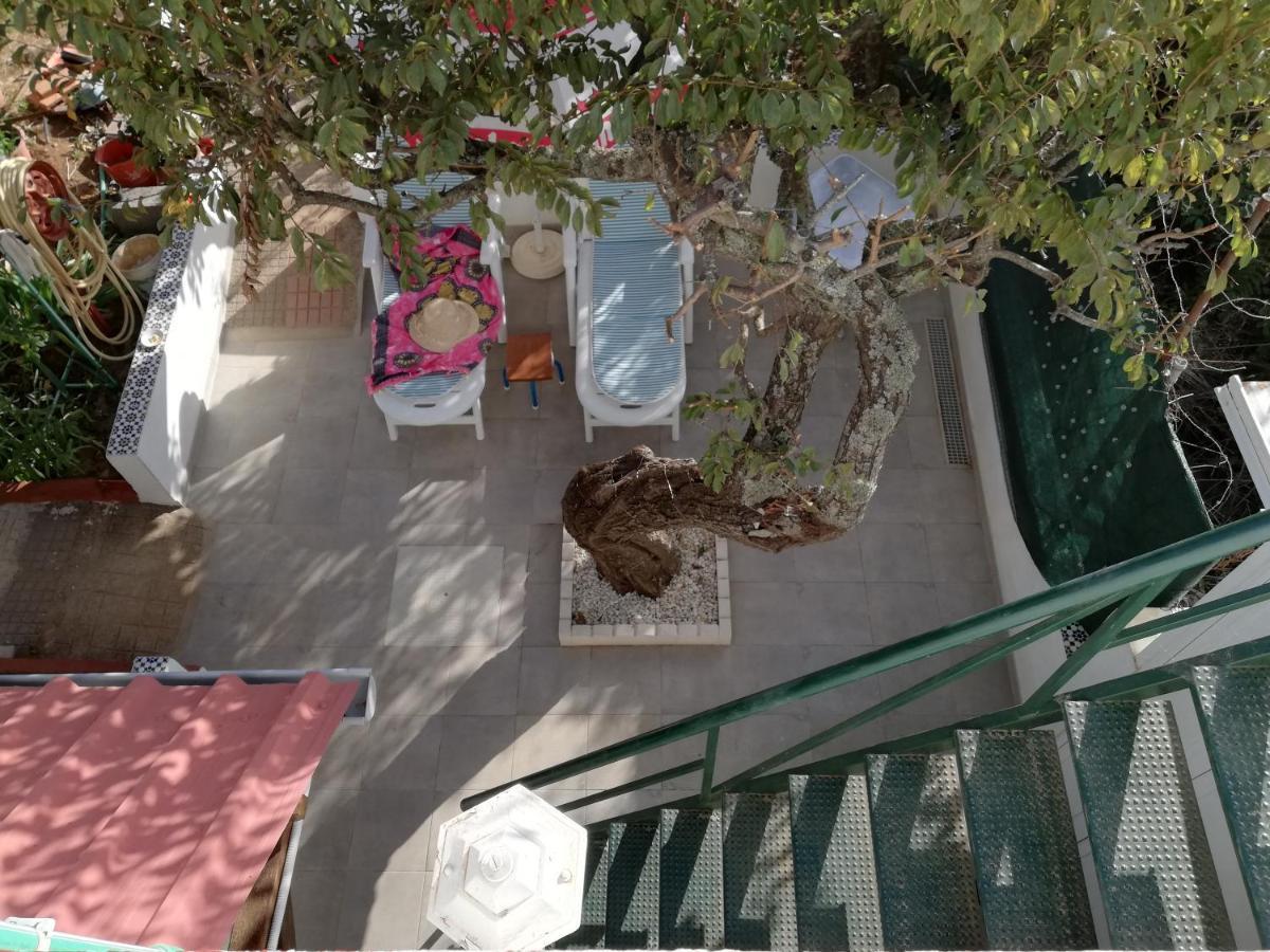 Casa Rural Limon Y Sol サウサル エクステリア 写真