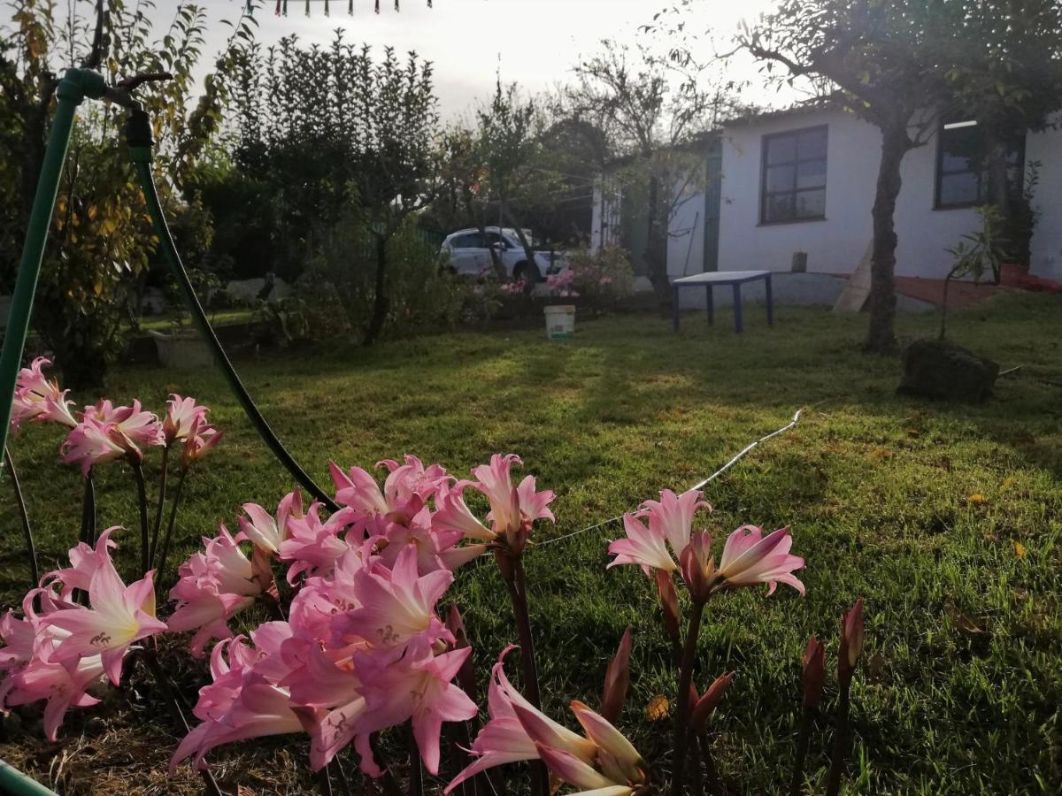 Casa Rural Limon Y Sol サウサル エクステリア 写真