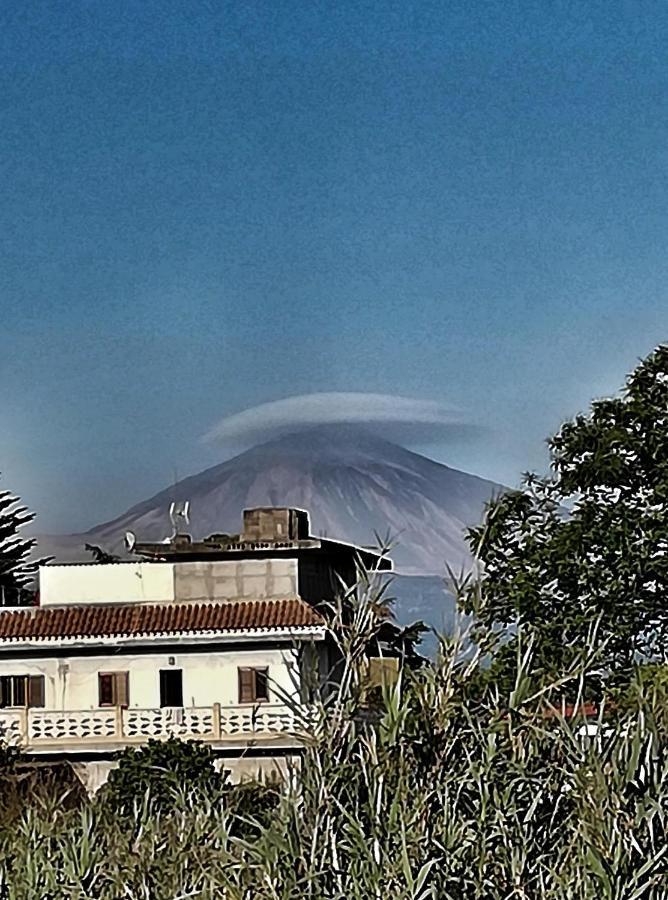Casa Rural Limon Y Sol サウサル エクステリア 写真