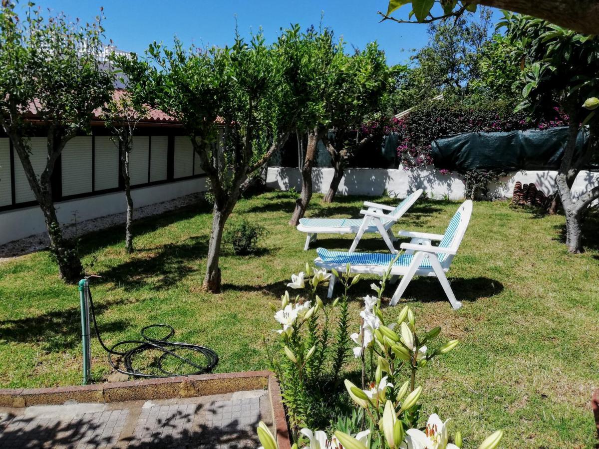 Casa Rural Limon Y Sol サウサル エクステリア 写真