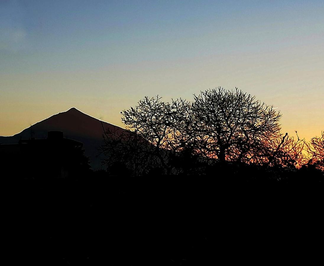 Casa Rural Limon Y Sol サウサル エクステリア 写真