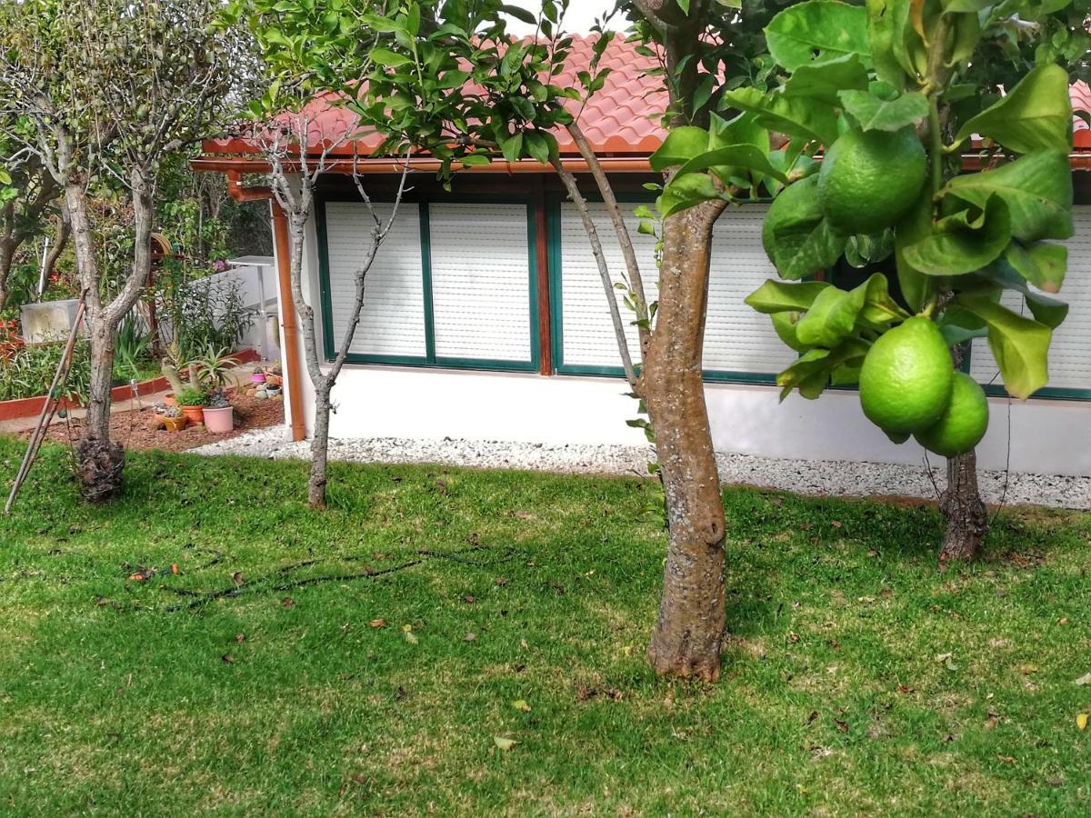 Casa Rural Limon Y Sol サウサル エクステリア 写真