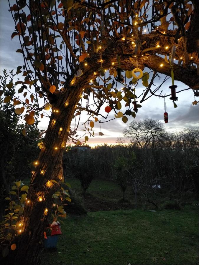 Casa Rural Limon Y Sol サウサル エクステリア 写真